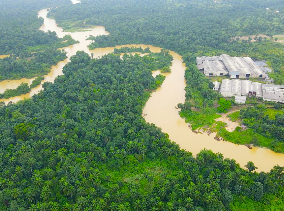 SAVING AFRICA'S MANGROVES TO SAVE THE CONTINENT BY GEORGE AKPAYEN
